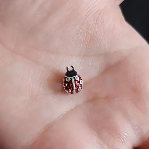 925 Sterling Silver Ladybug Charm - Picture 5 of 5